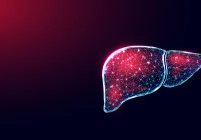 Graphic of a human liver with red and blue network connections throughout